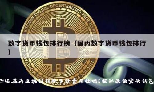 你还在为区块链转账手续费烦恼吗？揭秘最便宜的钱包！