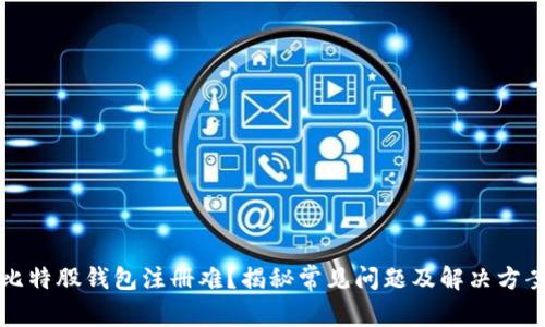 比特股钱包注册难？揭秘常见问题及解决方案