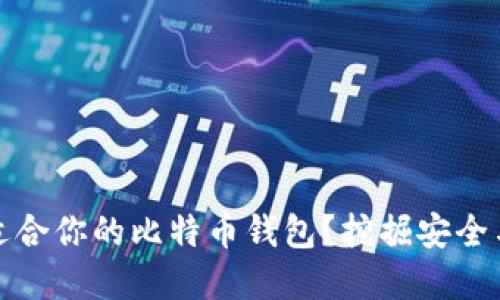 如何选择最适合你的比特币钱包？挖掘安全与便利的平衡