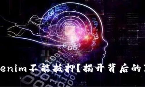为什么Tokenim不能抵押？揭开背后的真相与挑战