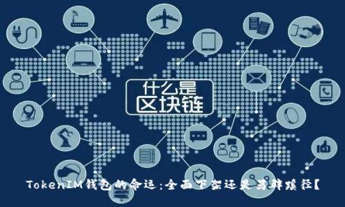 TokenIM钱包的命运：全面下架还是另辟蹊径？