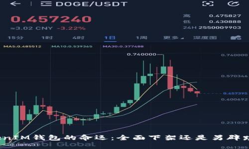 TokenIM钱包的命运：全面下架还是另辟蹊径？