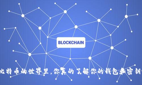 在比特币的世界里，你真的了解你的钱包和密钥吗？