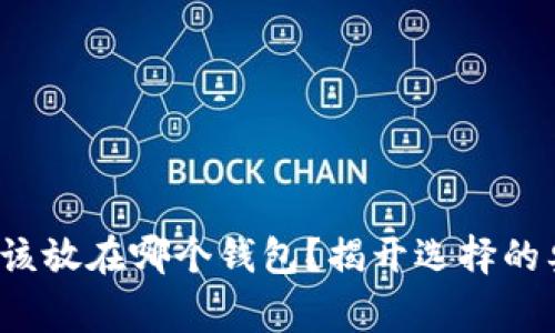 Algo该放在哪个钱包？揭开选择的奥秘！