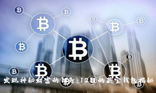 发现神秘财富的钥匙：12链的藏宝钱包揭秘