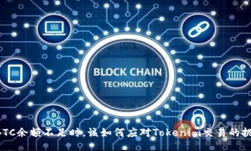 当BTC余额不足时,该如何应对Tokenim交易的挑战?