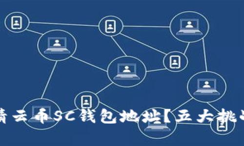 如何顺利申请云币SC钱包地址?五大挑战与应对策略