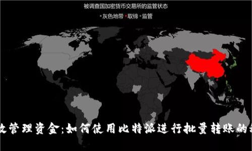 高效管理资金：如何使用比特派进行批量转账的秘籍