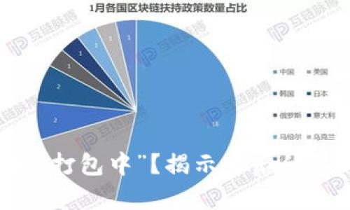 TP钱包提币一直“打包中”?揭示背后的真相与解决方案!
