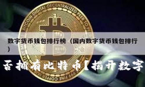 如何确认自己是否拥有比特币?揭开数字货币的神秘面纱