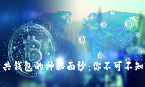 揭开区块链公共钱包的神秘面纱：你不可不知的选择与挑战