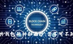 揭开区块链公共钱包的神