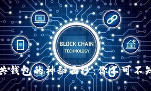 揭开区块链公共钱包的神秘面纱：你不可不知的选择与挑战