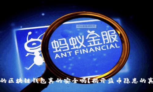 你的区块链钱包真的安全吗?揭开盗币隐患的真相