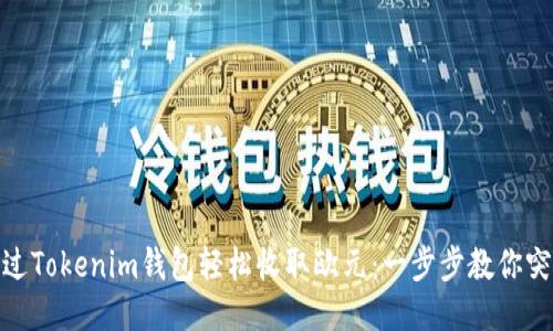 如何通过Tokenim钱包轻松收取欧元:一步步教你突破障碍