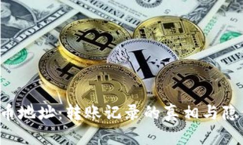 揭秘虚拟币地址:转账记录的真相与隐私的挑战!