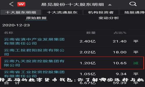 选择正确的数字货币钱包:你了解哪些选择与挑战?