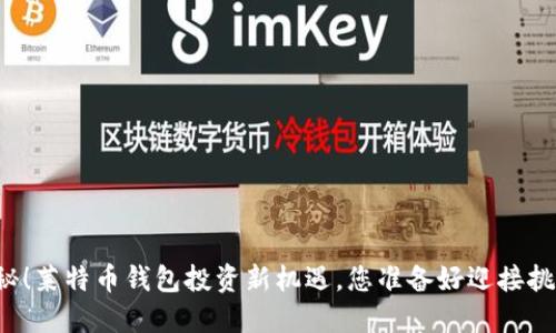 重磅揭秘!莱特币钱包投资新机遇,您准备好迎接挑战了吗?