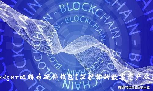 为何选择Ledger比特币硬件钱包?保护你的数字资产从未如此重要!