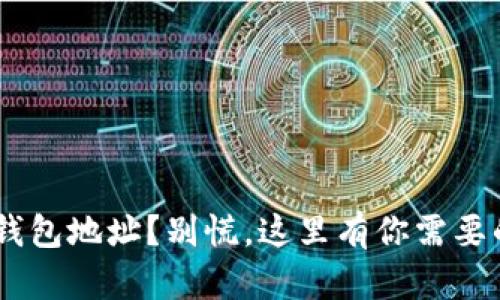 失去Token钱包地址?别慌,这里有你需要的解决方案!