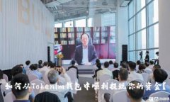 如何从Tokenim钱包中顺利提