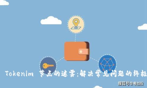 解锁 Tokenim 节点的迷雾:解决常见问题的终极指南