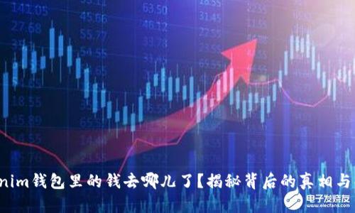 你的Tokenim钱包里的钱去哪儿了?揭秘背后的真相与解决方案!