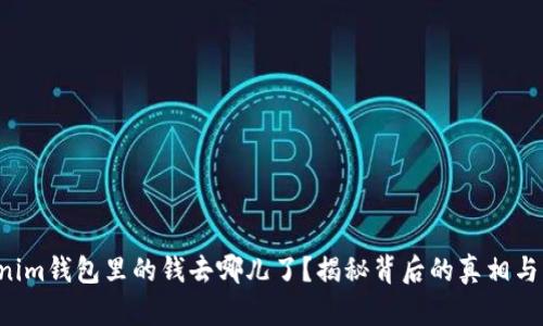 你的Tokenim钱包里的钱去哪儿了?揭秘背后的真相与解决方案!