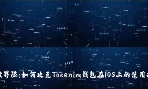 打破界限：如何攻克Tokenim钱包在iOS上的使用挑战