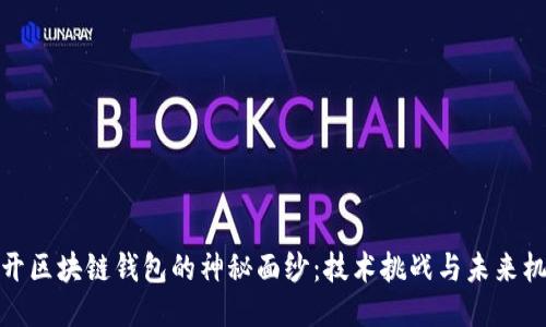 揭开区块链钱包的神秘面纱：技术挑战与未来机遇