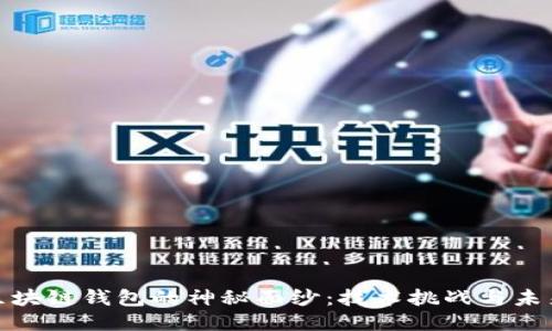 揭开区块链钱包的神秘面纱：技术挑战与未来机遇