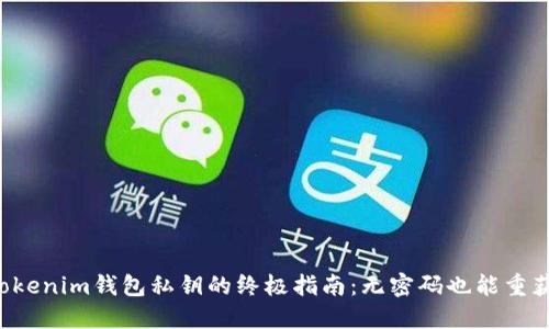 找回Tokenim钱包私钥的终极指南：无密码也能重获财产！