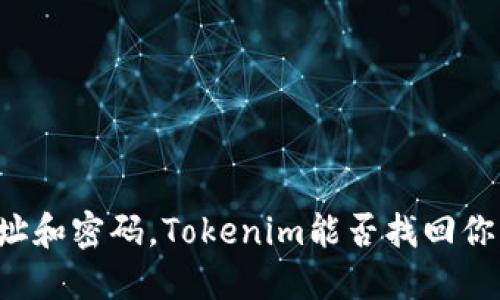 只靠地址和密码，Tokenim能否找回你的资产？