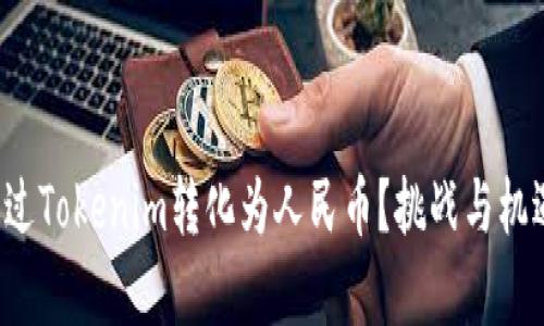 如何通过Tokenim转化为人民币？挑战与机遇并存！