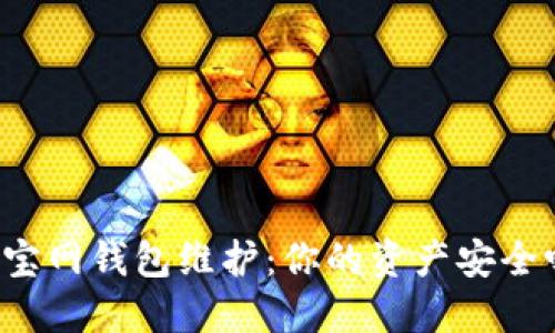 元宝网钱包维护：你的资产安全吗？