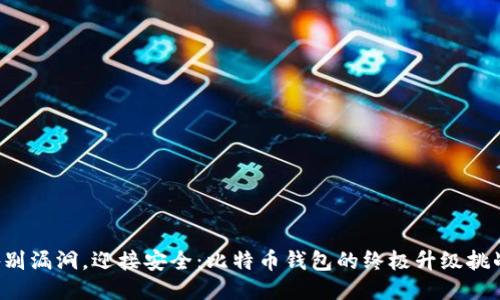 告别漏洞，迎接安全：比特币钱包的终极升级挑战！