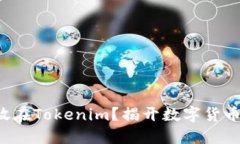 狗狗币能否放在Tokenim？揭