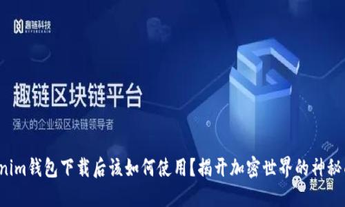 Tokenim钱包下载后该如何使用？揭开加密世界的神秘面纱！