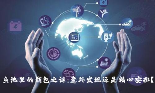 鱼池里的钱包之谜：意外发现还是精心安排？