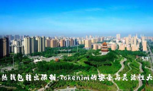 突破热钱包转出限制：Tokenim的安全与灵活性大揭秘