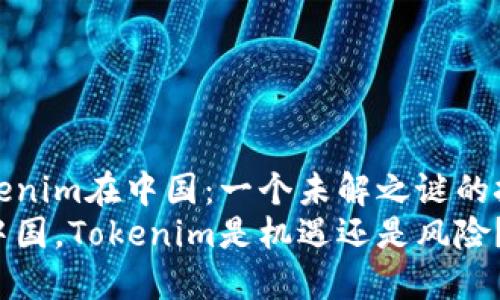 Tokenim在中国：一个未解之谜的挑战
在中国，Tokenim是机遇还是风险？