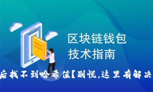 转账后找不到哈希值?别慌,这里有解决方案!