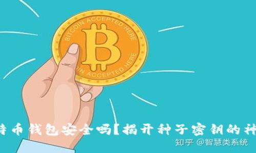 你的比特币钱包安全吗？揭开种子密钥的神秘面纱！