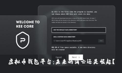 虚拟币钱包平台：未来的消亡还是崛起？