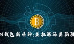 IM钱包新币种：是机遇还是