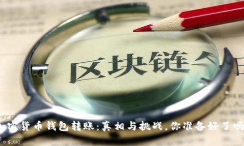 加密货币钱包转账：真相与挑战，你准备好了吗？