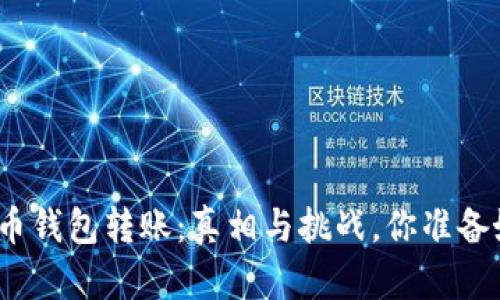 加密货币钱包转账：真相与挑战，你准备好了吗？