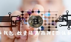 加密货币钱包：投资还是