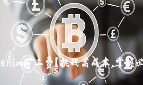 想用Tokenim矿工费？挑战高成本，掌握必备技巧！