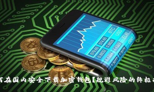 如何在国内安全下载加密钱包？规避风险的终极指南